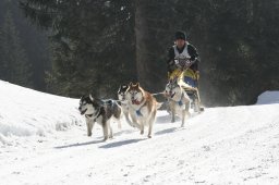 San Bernardino 2008